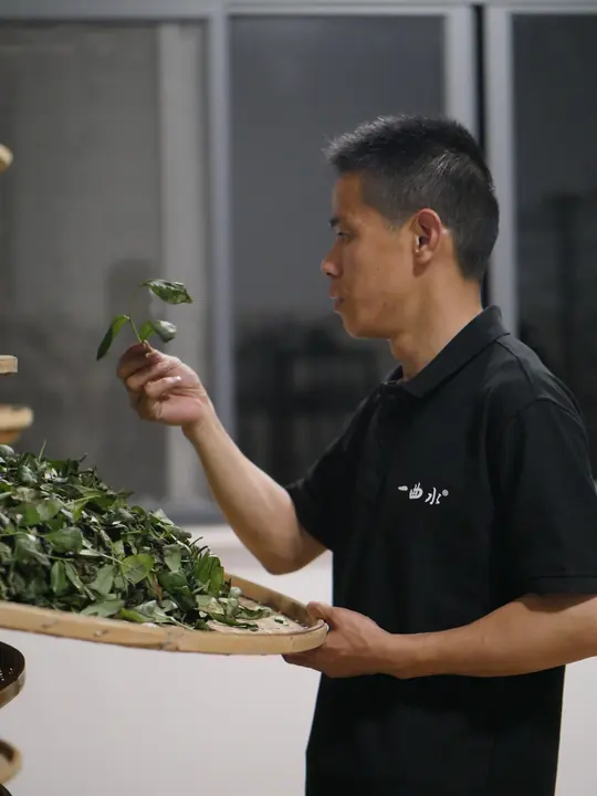 做青:摇青与静置